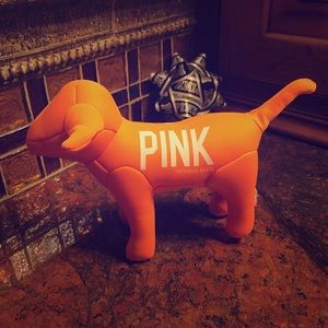 Pink orange dog